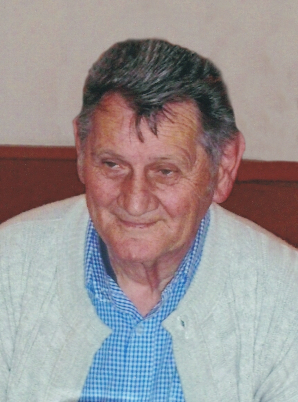 Boisits Franz fertig