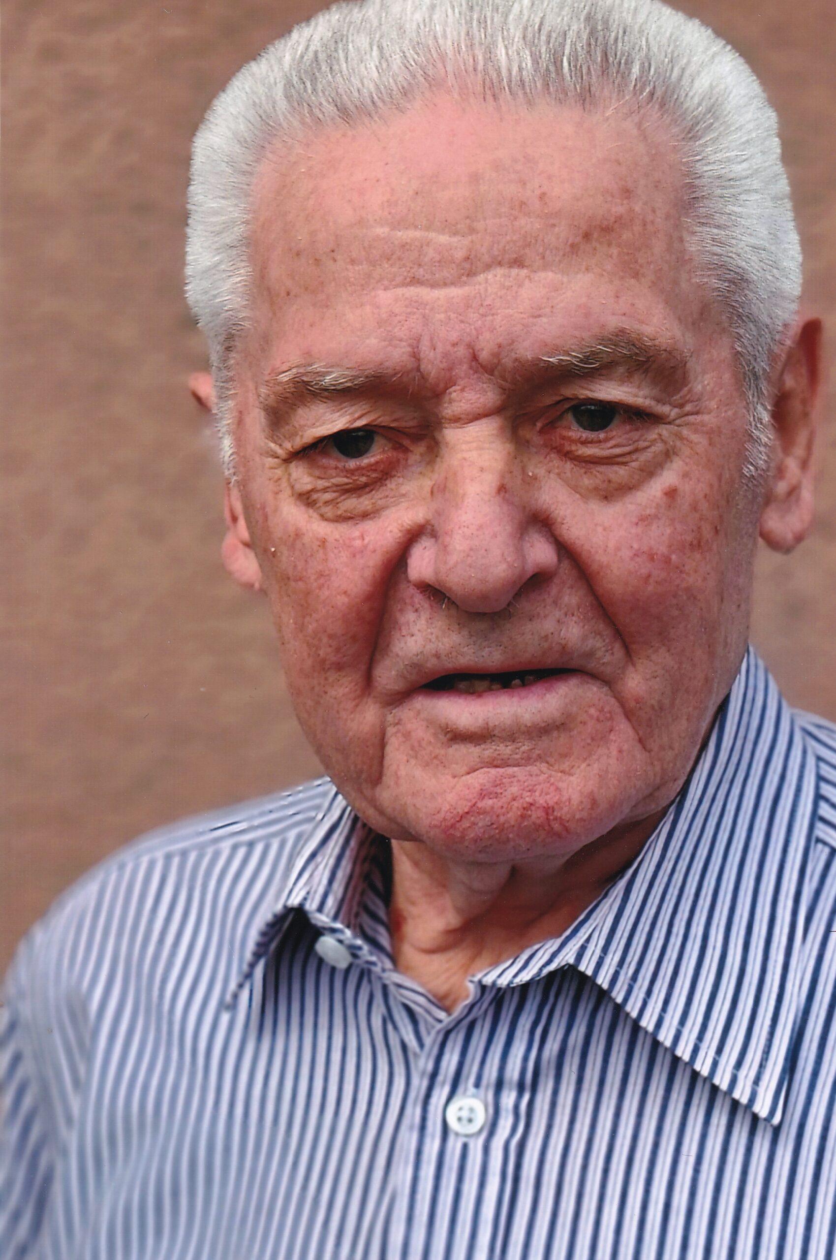 Schmiedl_Josef